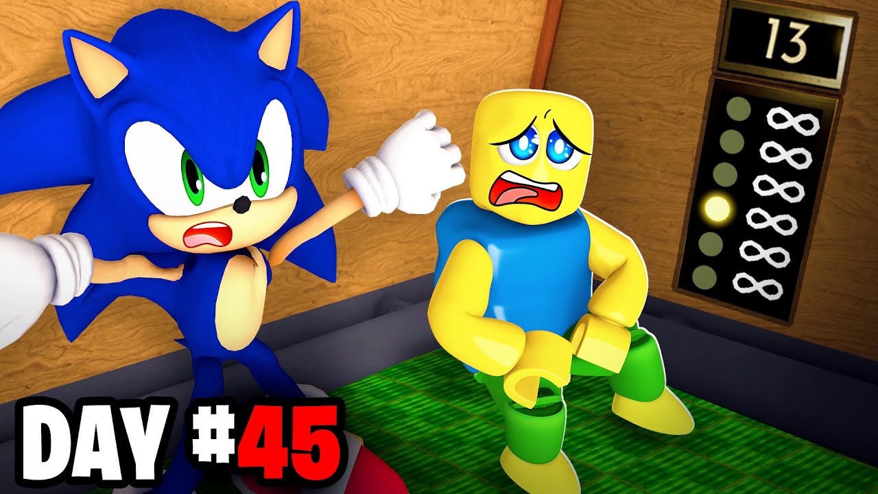 Can SONIC Survive The SONIC ELEVATOR 2?
