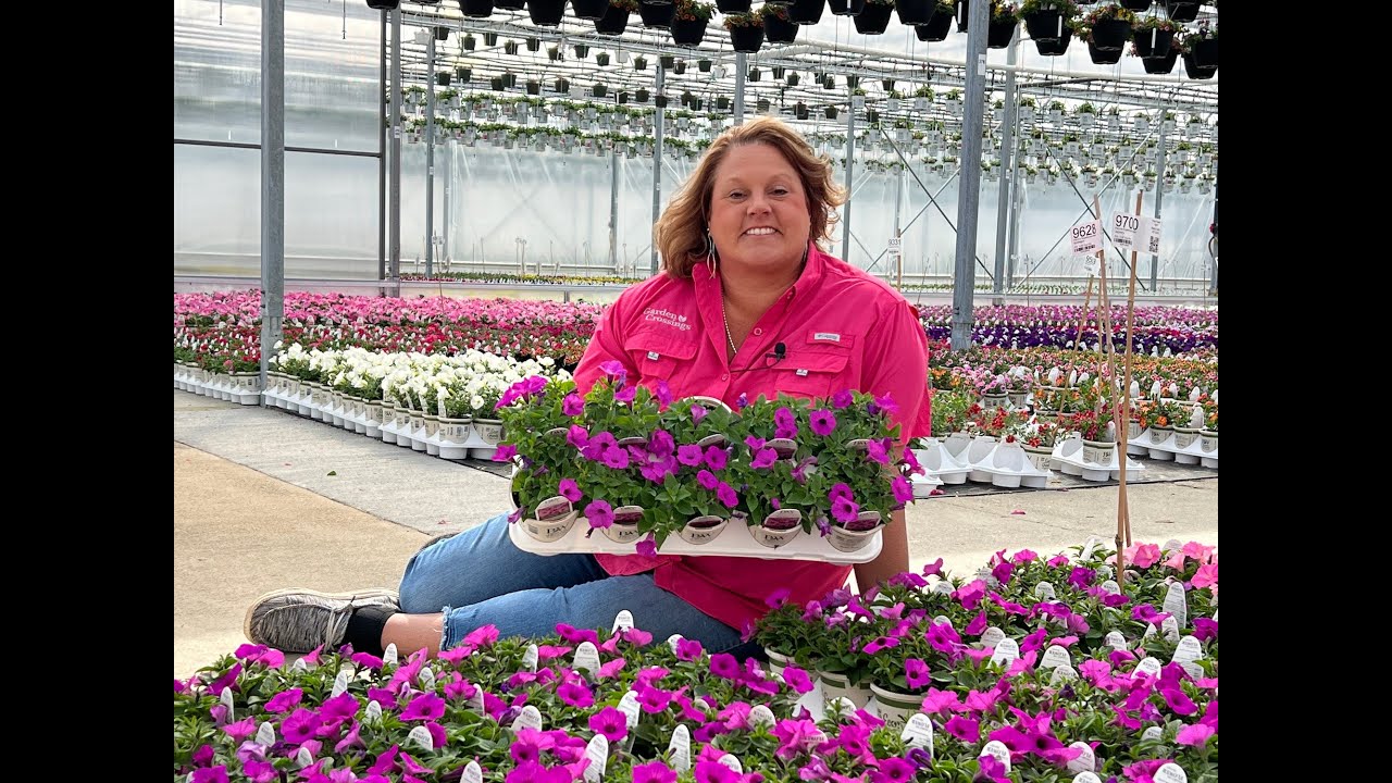 What are the Differences in the Supertunia Vista Flowers