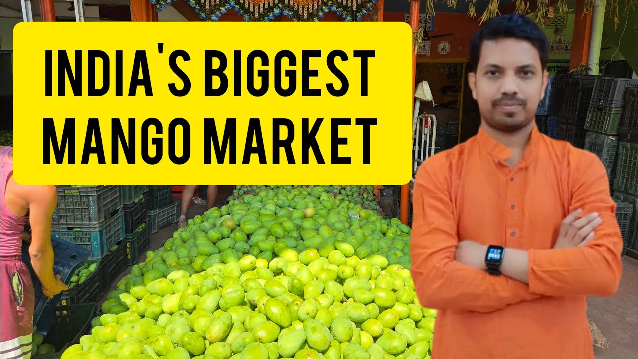 India's Biggest Mango Market Berhampur, Odisha 