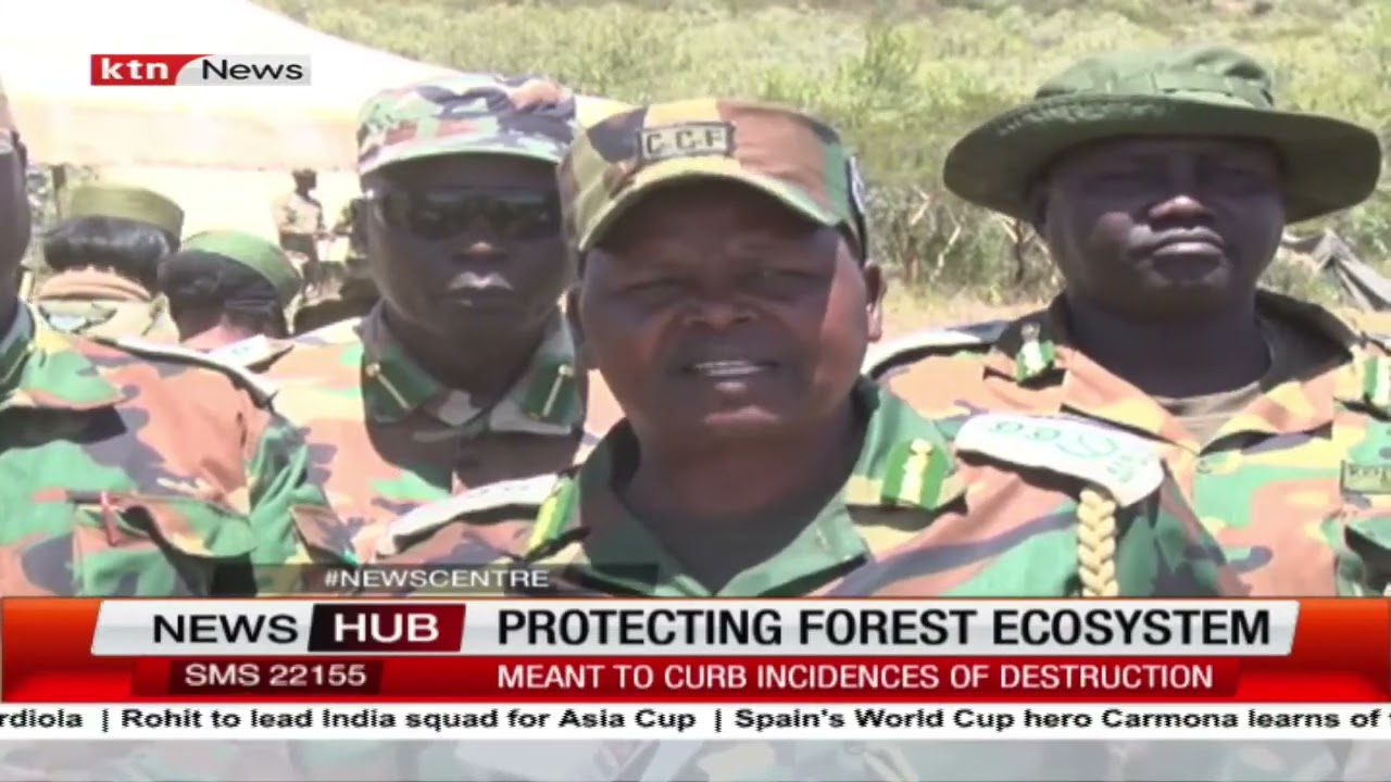 2700 forest rangers to be deployed to help protect forests from destruction