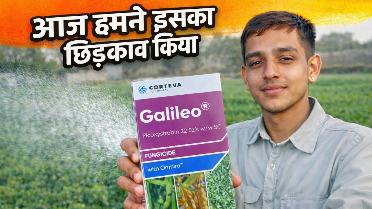 आज हमने जिर कि दवाई का प्रचार किया 