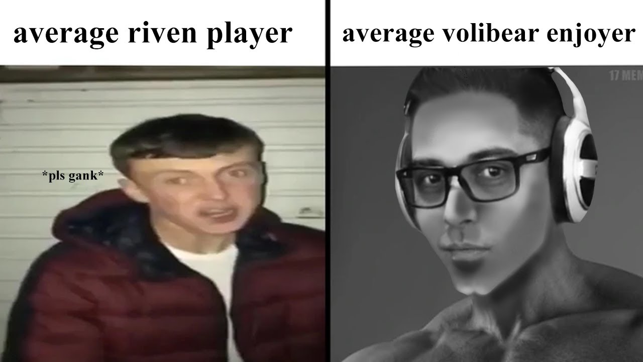 JUST AN AVERAGE VOLIBEAR ENJOYER