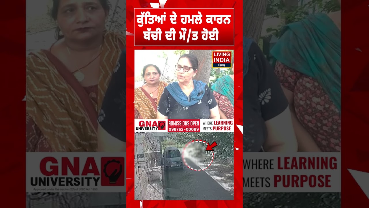 ਕੁੱਤਿਆਂ ਦੇ ਹਮਲੇ ਕਾਰਨ ਬੱਚੀ ਦੀ ਮੌ/ਤ ਹੋਈ | Morinda | Stray Dogs | Dog Attack Incident