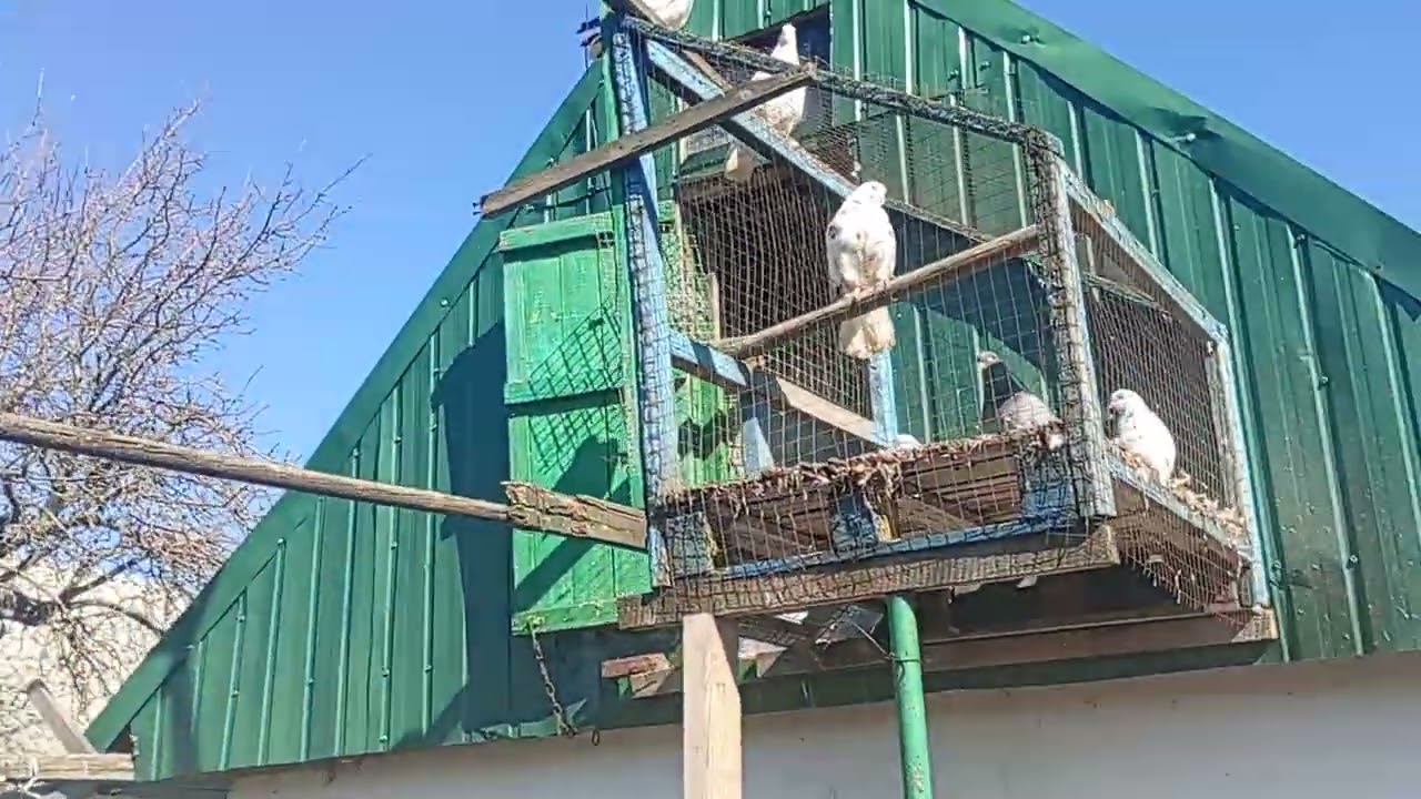 ,,,🇺🇦🇺🇦🇺🇦🇺🇦🇺🇦🇺🇦🇺🇦🇺🇦🕊️🕊️🕊️🕊️🕊️🕊️🕊️🕊️