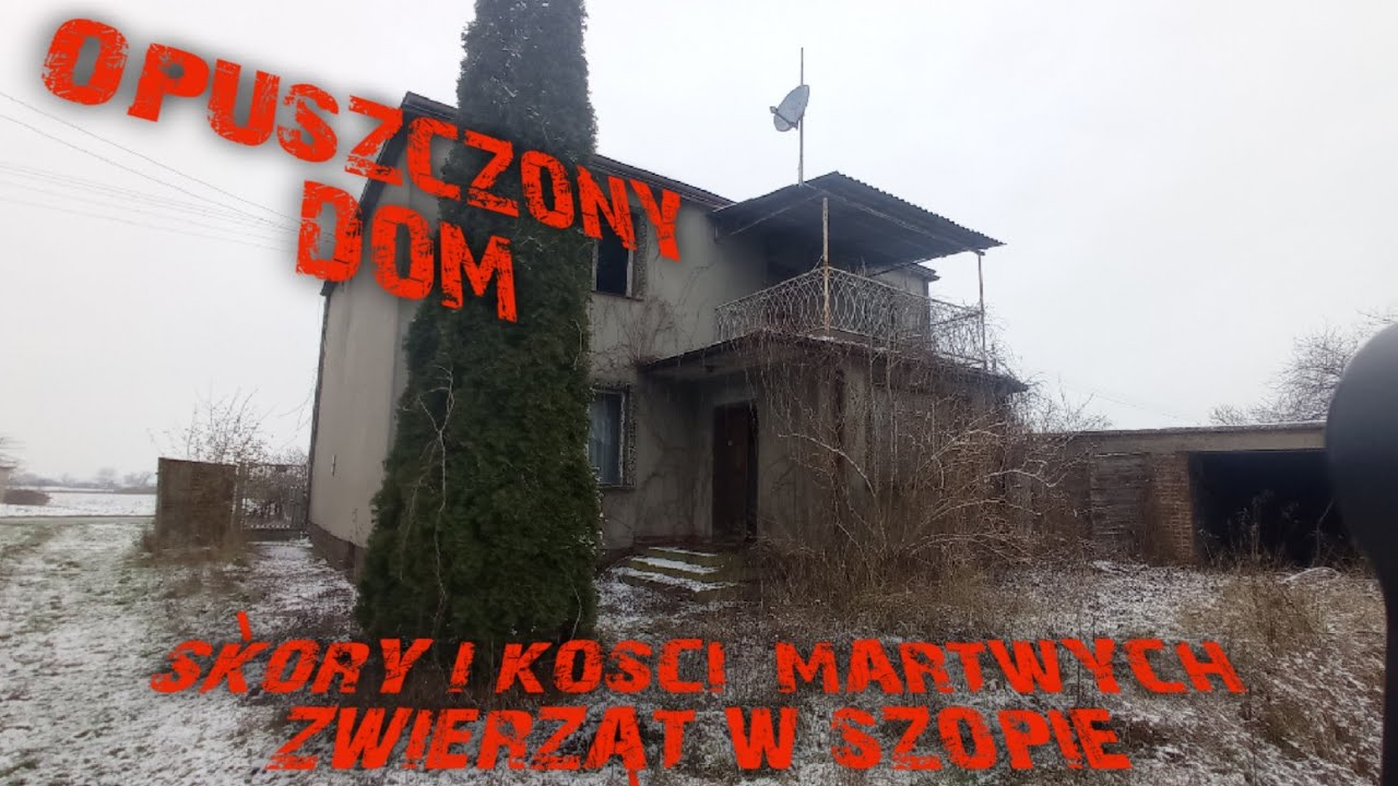 Opuszczony dom . Sk&oacute;ra i kości martwych zwierząt #dc #opuszczone#urbex#urbexworld
