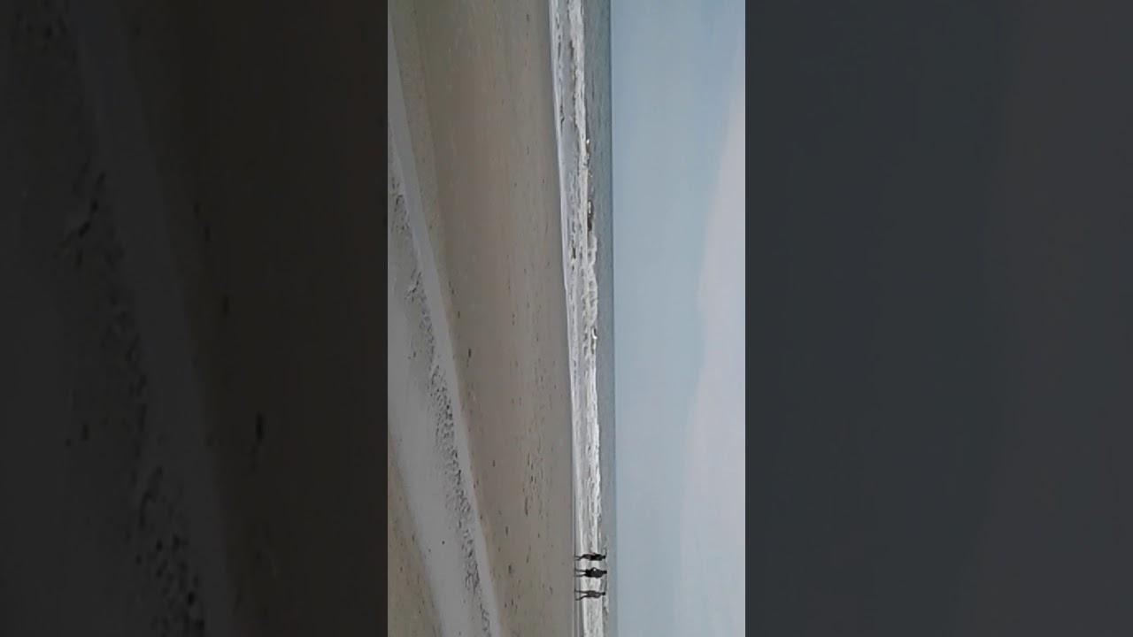 la playa de sur Carolina.  en morobich.