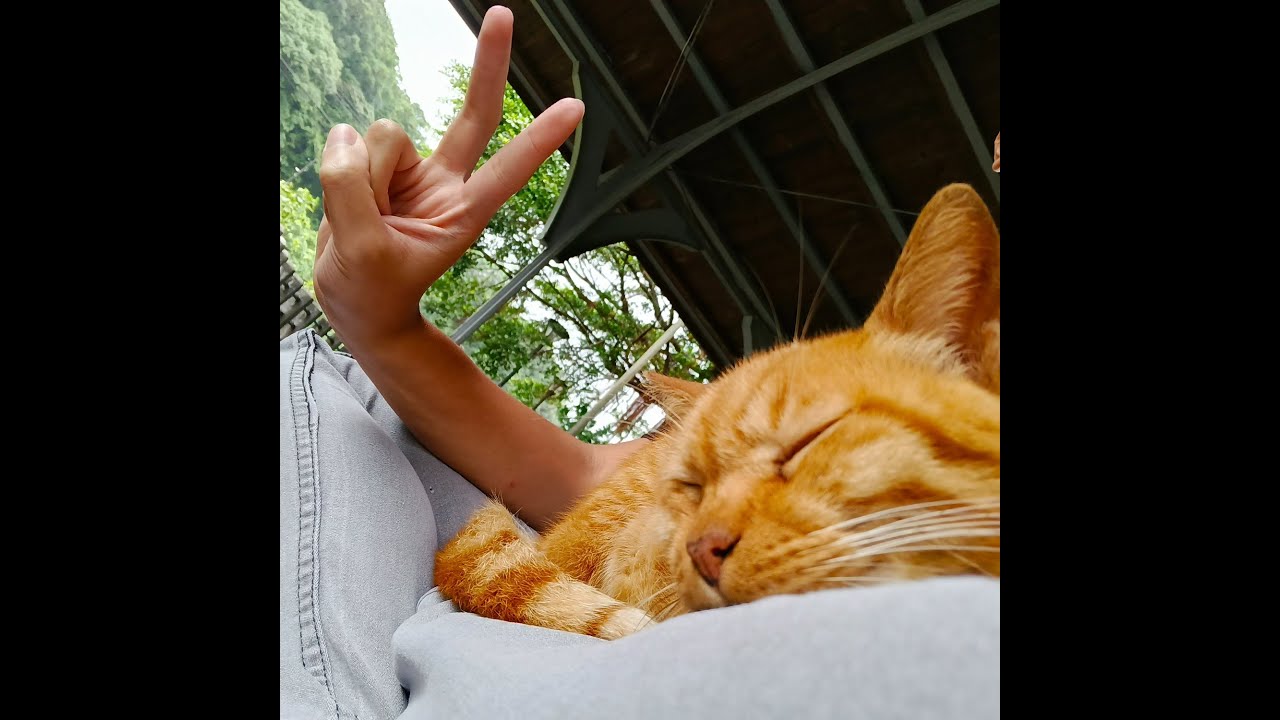Taiwan Trip (2025)