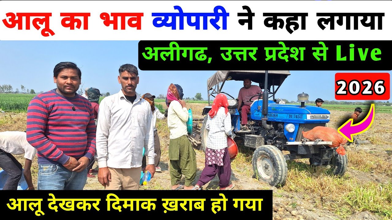 आलू की पैदावार देखकर किसान के आंशू आये | व्योपारी ने भी भाव नहीं लगाया | real farmer education/ aalu