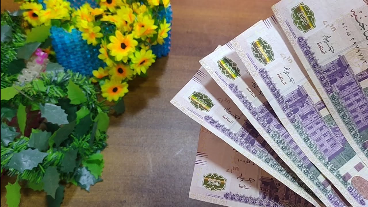 وفرت 1000 جنيه و أمنت بيتي و فرحت ولادي ام كريم في التوفير مبتهزرش