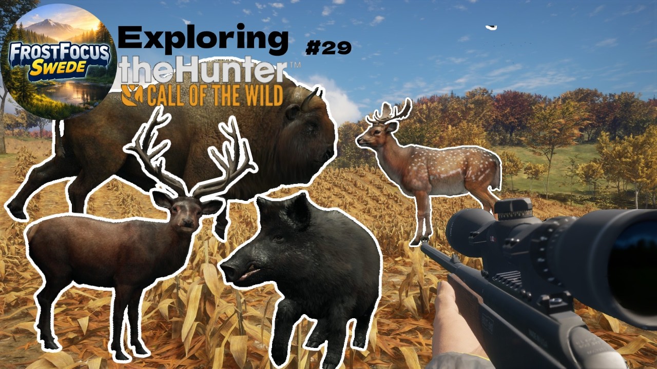Hunting Bison, Red Deer, Fallow Deer and Boars | Exploring Call of the Wild #29
