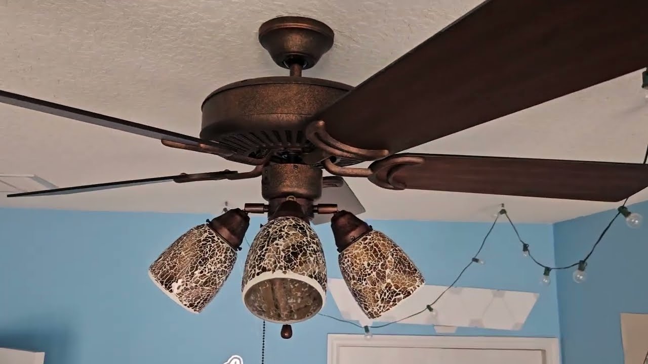 National Ceiling Fan Day 2023 | All Fans in my House Running on High