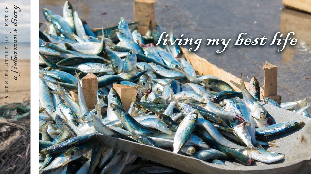 03192023 Living my best life - Al Robertson
