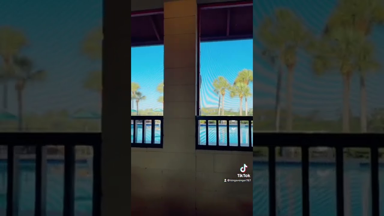 Disney Lifeguard Vlog