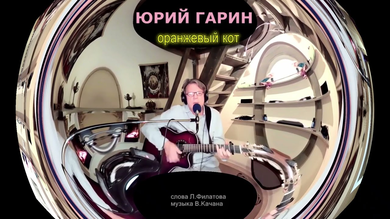 Юрий Гарин  Оранжевый кот