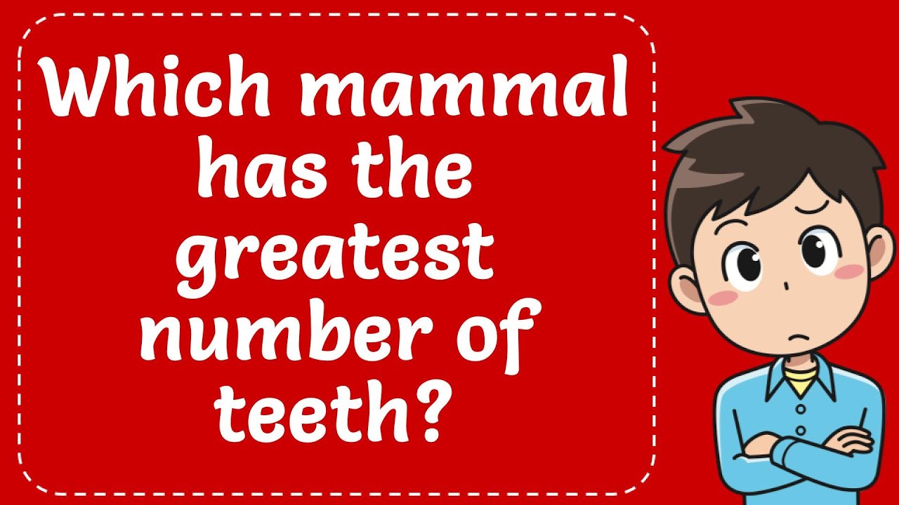 Which Mammal Have The Greatest Number Of Teeth? Explained