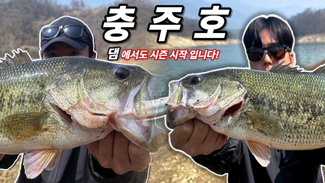 댐에서도 배스낚시 시즌 시작! 충주호 떵어리 봄 패턴의 꽃 미노우로 공략하기