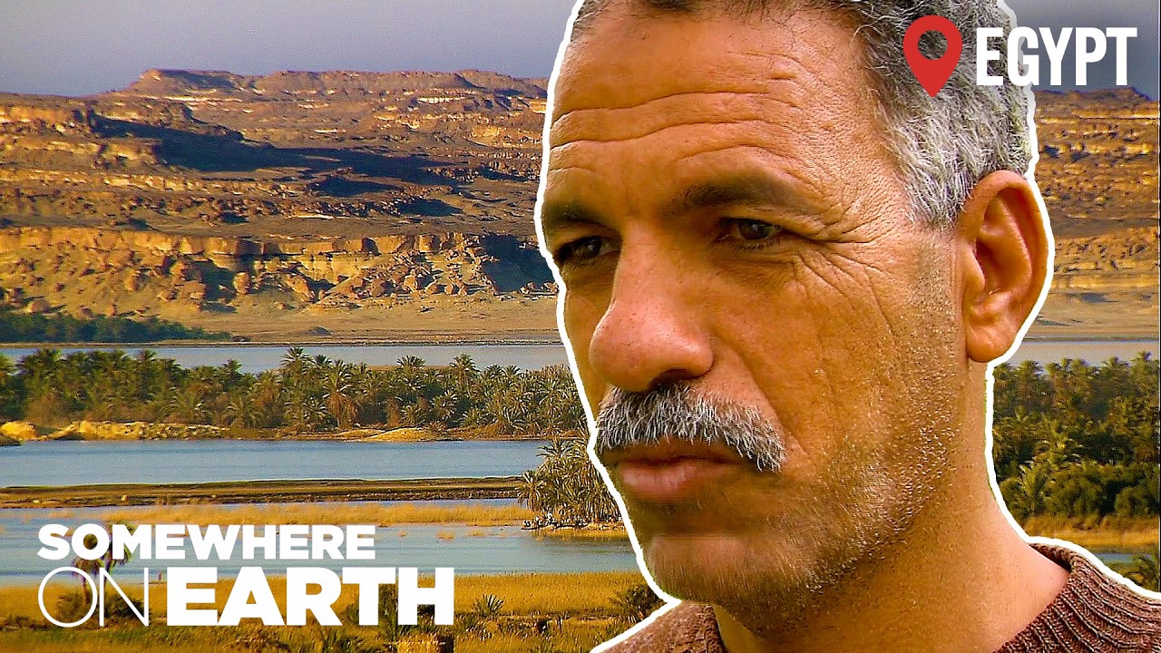 Egypt: Living in an Oasis Surrounded by the Sahara Desert | Documentary