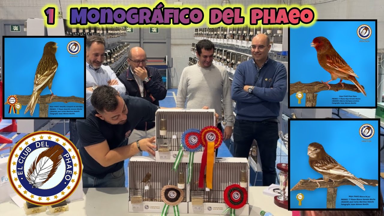 1 Monográfico del Phaeo !!