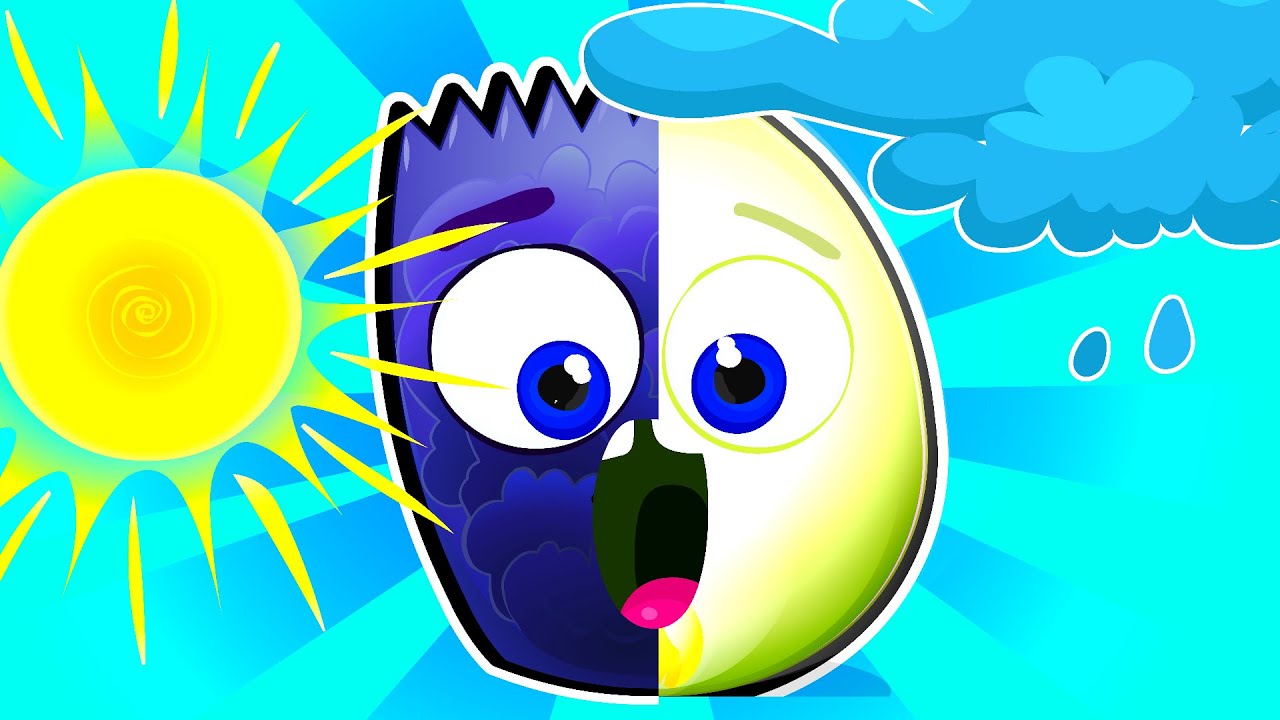 Fun Story | Op and Bob - Learning with Op and Bob - Op and Bob CARTOONS