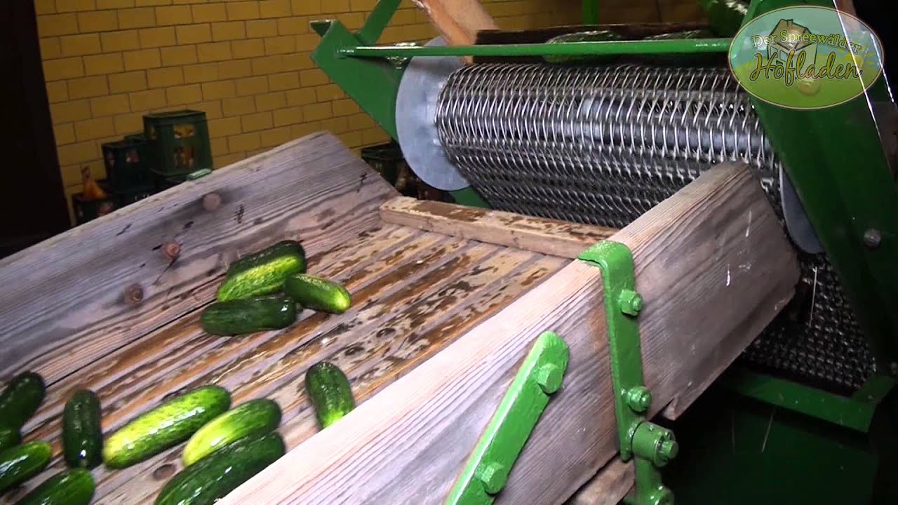 Die Echte Spreewälder Saure Gurke ( Slaz-Dill Gurke )