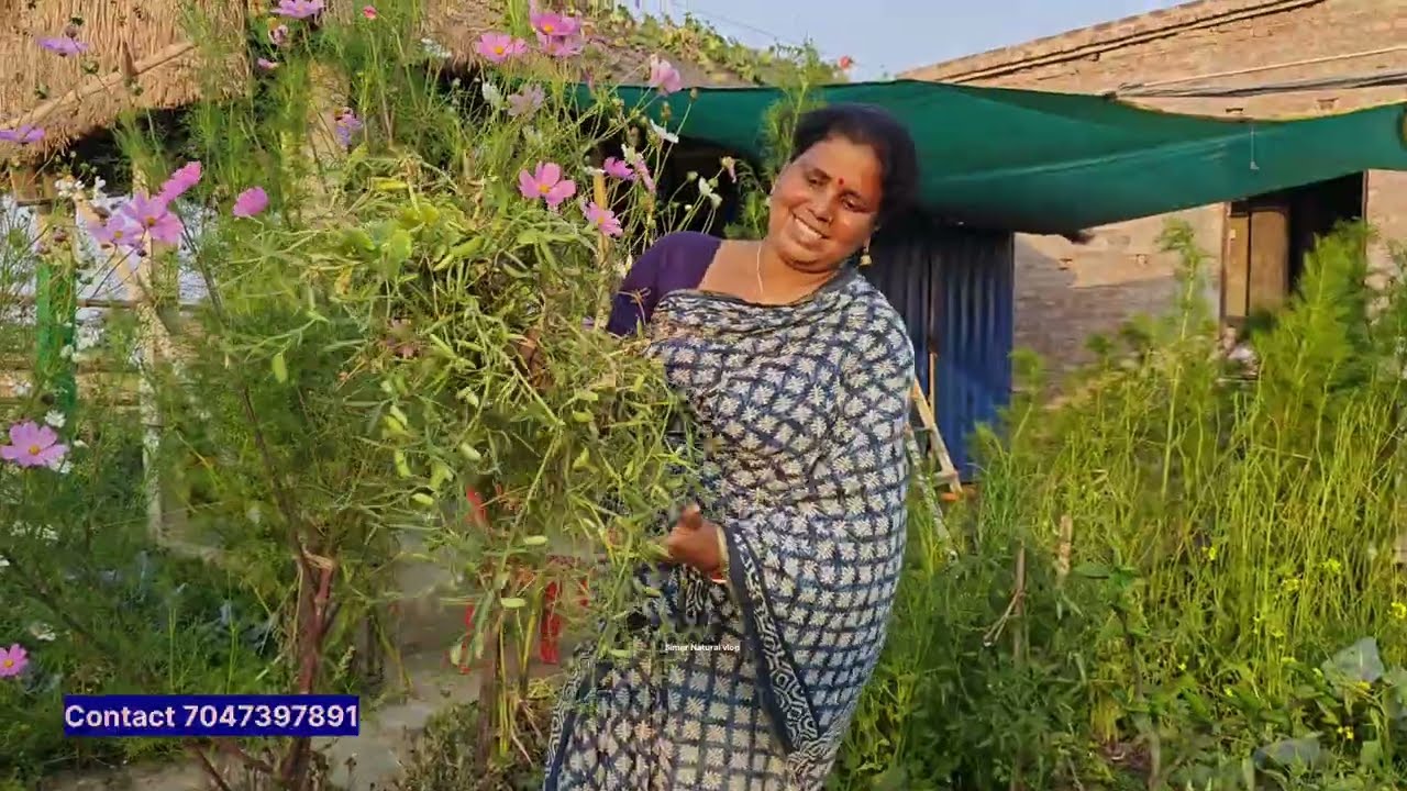#দুজনে আজ বাগানে নুতন কিছু পরিকল্পনা  - নুতন কিছু সব্জির জন্য দানা বসালাম #food #simarvlogs #simar #