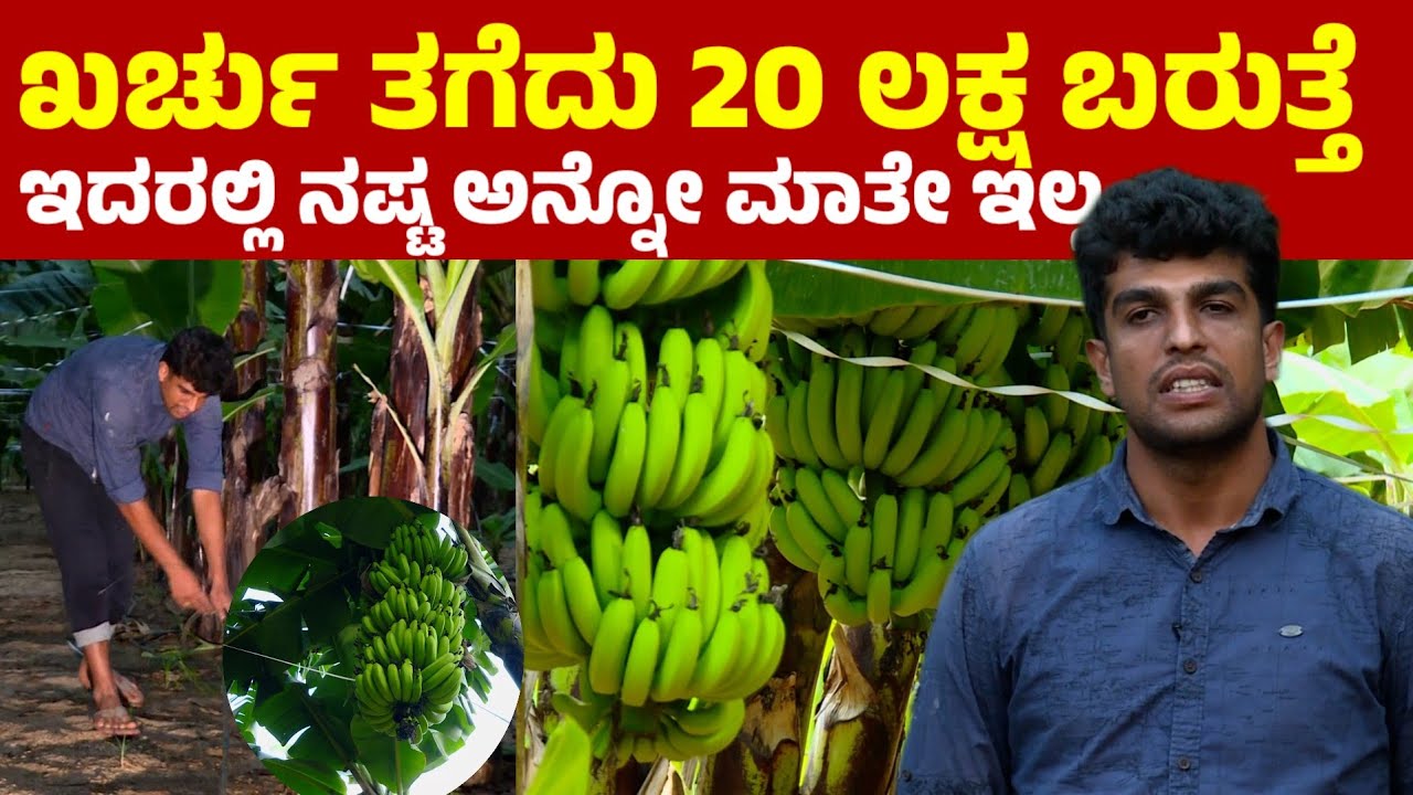 ಖರ್ಚು ತೆಗೆದು 20 ಲಕ್ಷ ಬರುತ್ತೆ.. ಇದರಲ್ಲಿ ನಷ್ಟ ಅನ್ನೋ ಮಾತೇ ಇಲ್ಲ ಸ್ವಾಮಿ |  success story