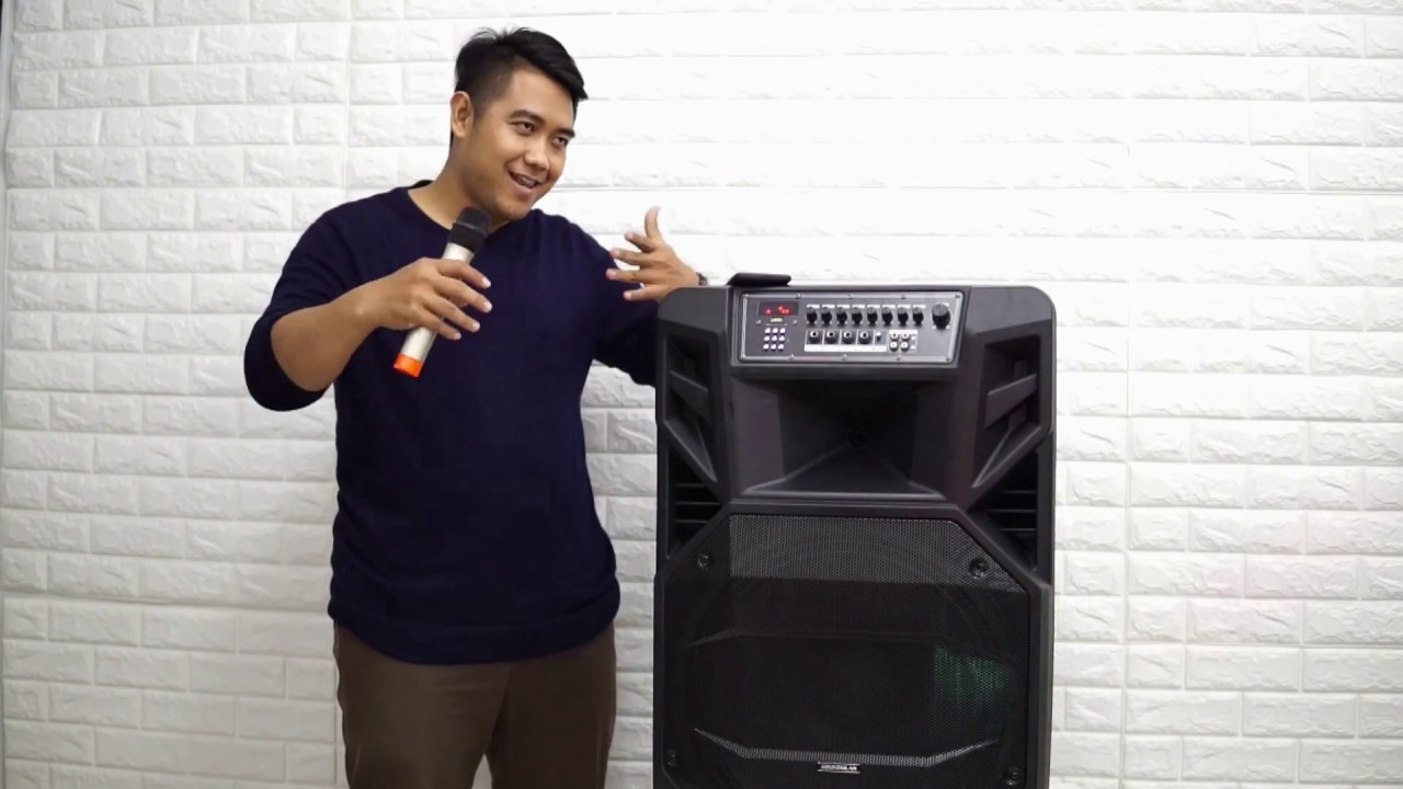 ดอก 18นิ้ว ตู้ลำโพง Soundmilan ML 2212