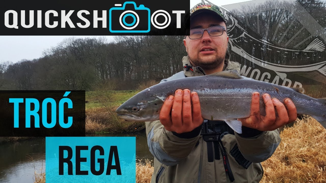 Troć z Regi  [quickshoot] -  Wędkarstwo Nowogard
