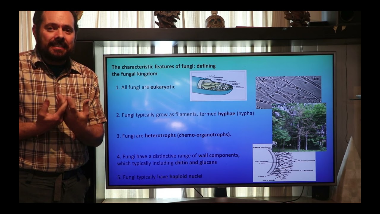 Introducci&oacute;n al curso de Micolog&iacute;a, caracter&iacute;sticas generales de los hongos