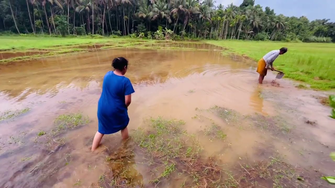 Village life in kerala