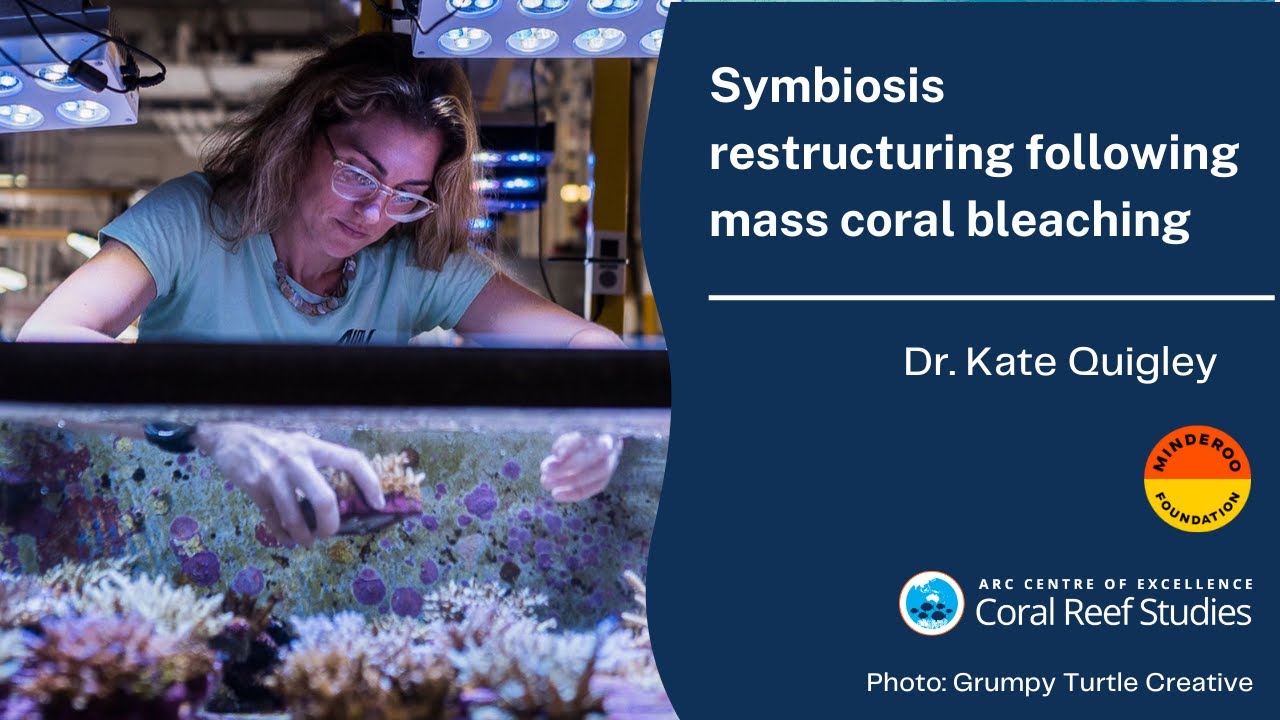 Symbiosis restructuring following mass coral bleaching. A seminar by Dr. Kate Quigley