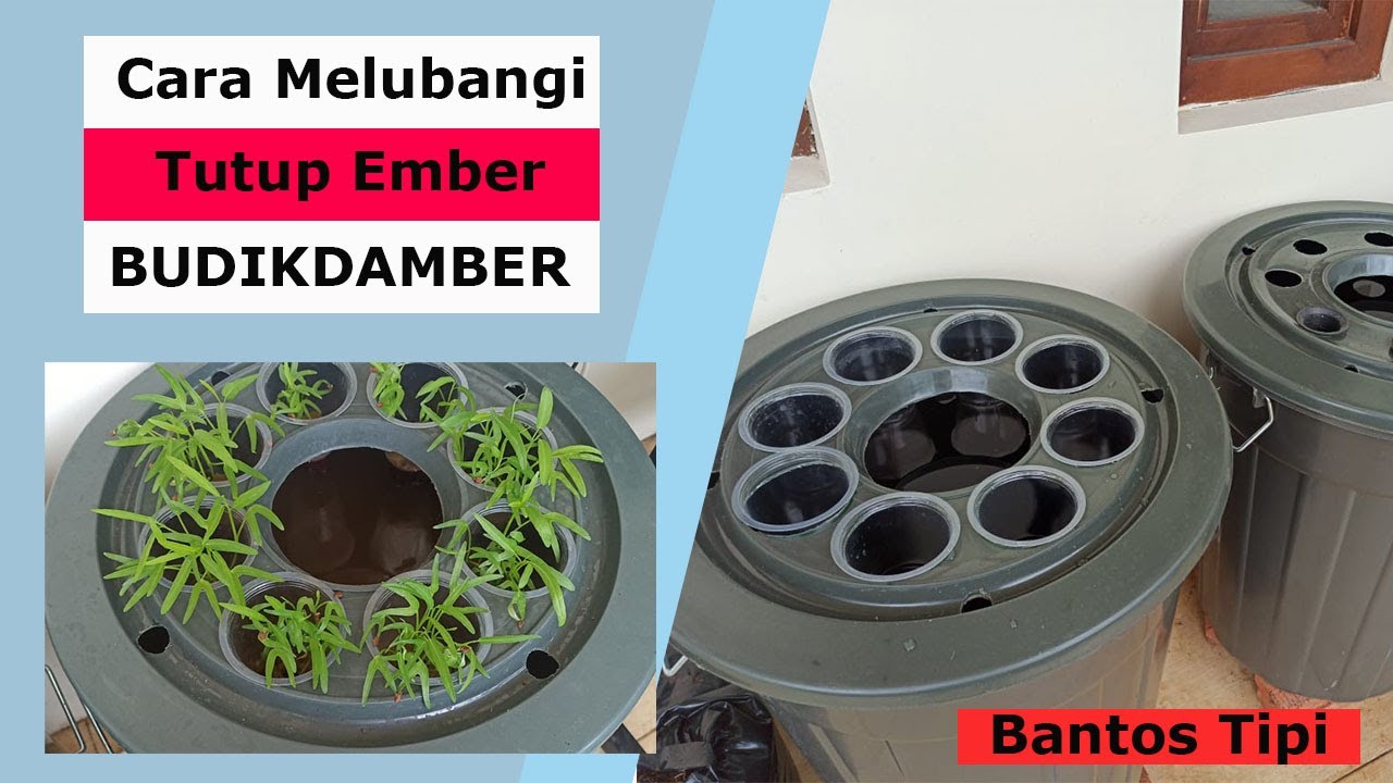 Cara Mudah Melubangi Tutup Ember untuk Budidaya Ikan di Dalam Ember | BUDIKDAMBER