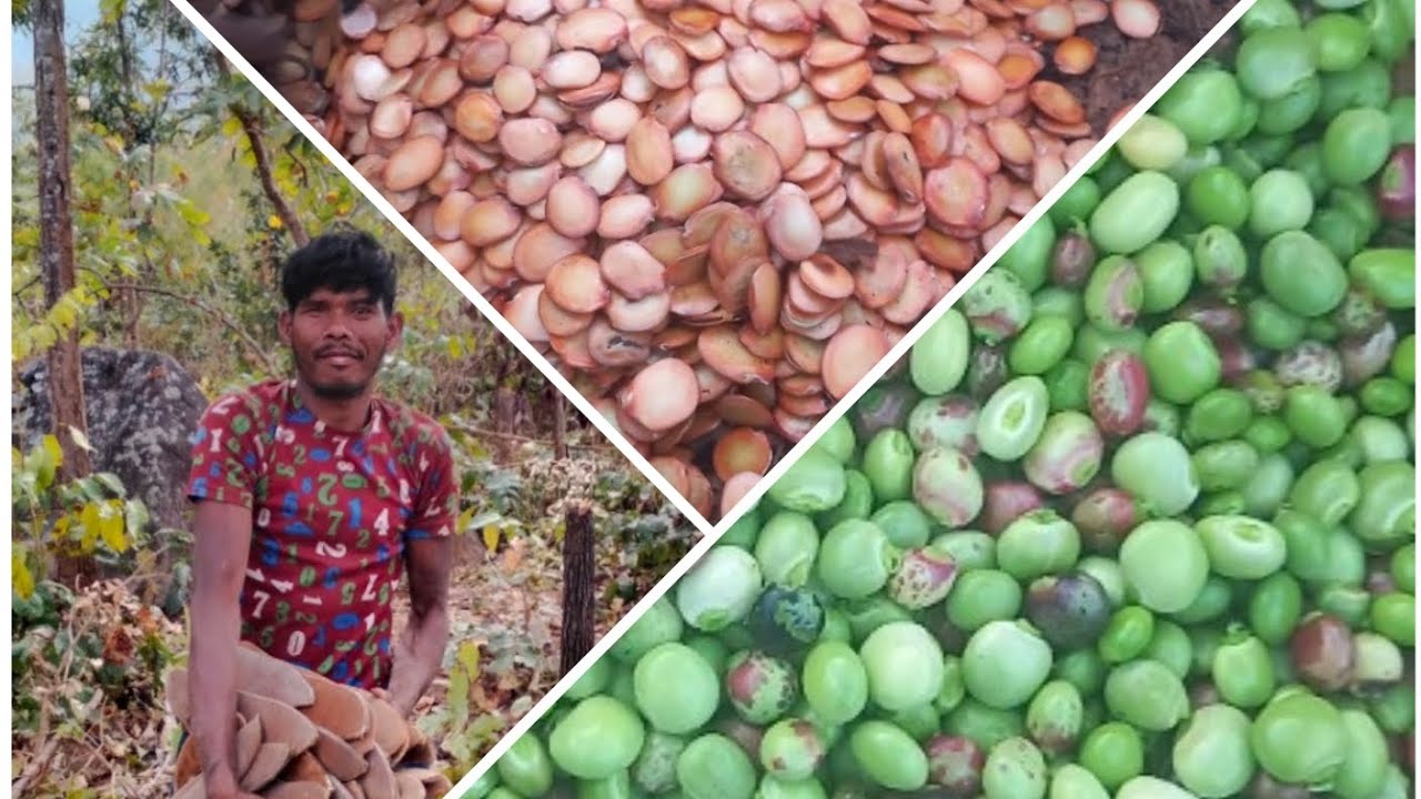 New.Christian.Ako_Dina_Udi_Chali_Jabo_Yeshu_Masih_Song Video 