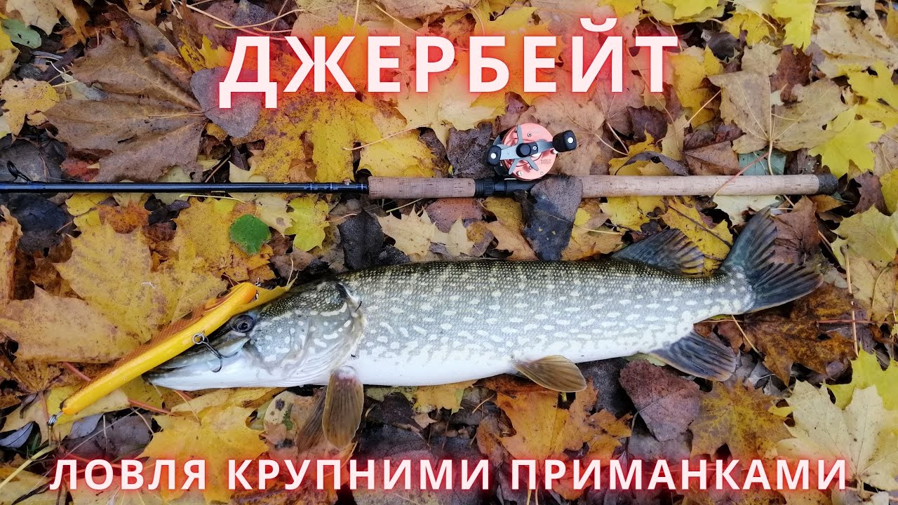 Ловля на джерк. Big Bandit, Fatso14 + Eng, Rus Sub.