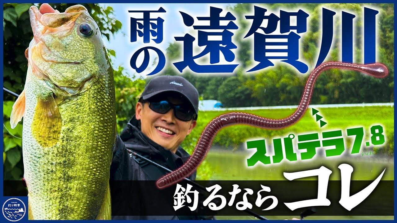 【バス釣り】ミミズ流しパターン！“スパテラ7.8in” で雨の日の河川にアジャストin遠賀川【釣り時季】