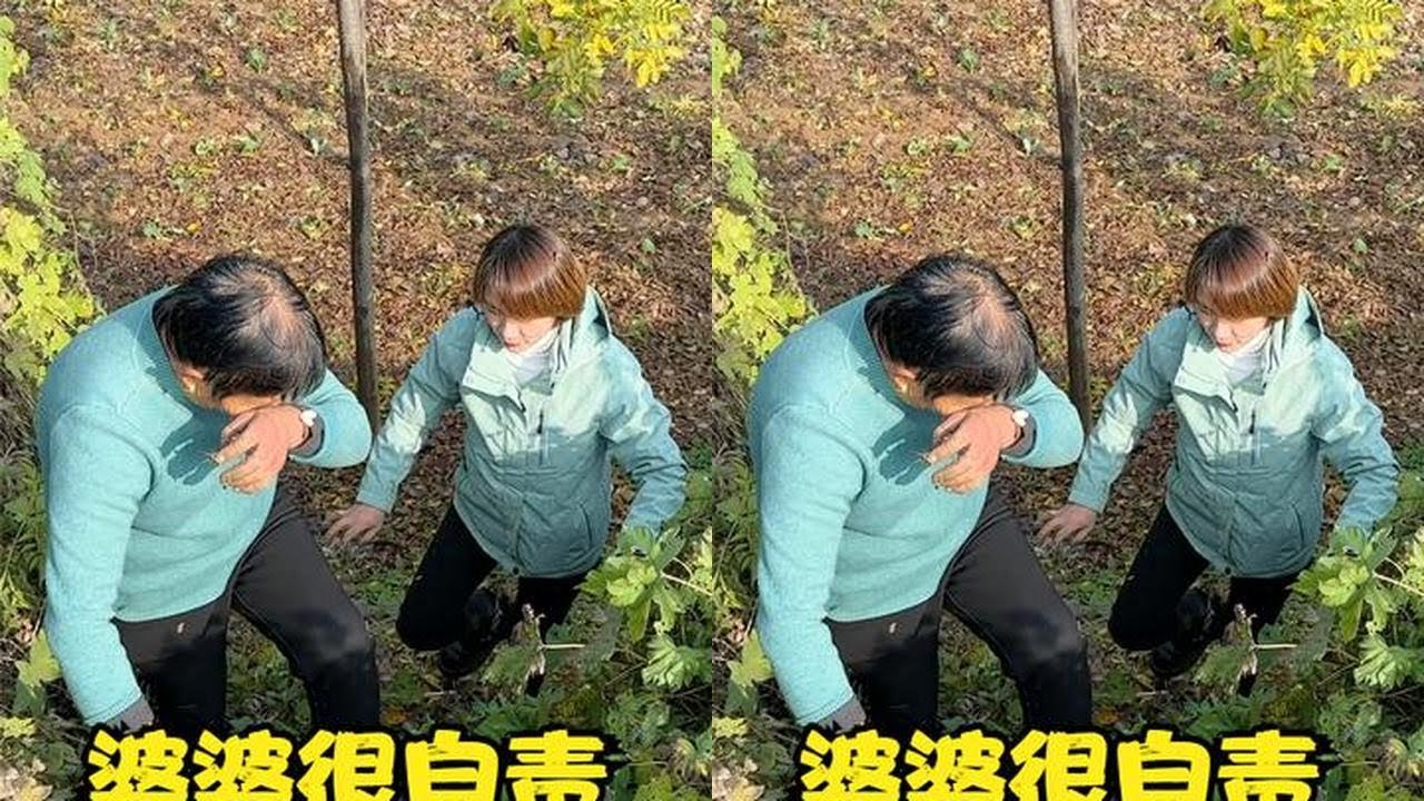 婆媳俩下地剔菜，鸽子不小心翻沟里，婆婆很自责，老公有话说 #我的乡村生活 #婆媳  #新农人计划2022