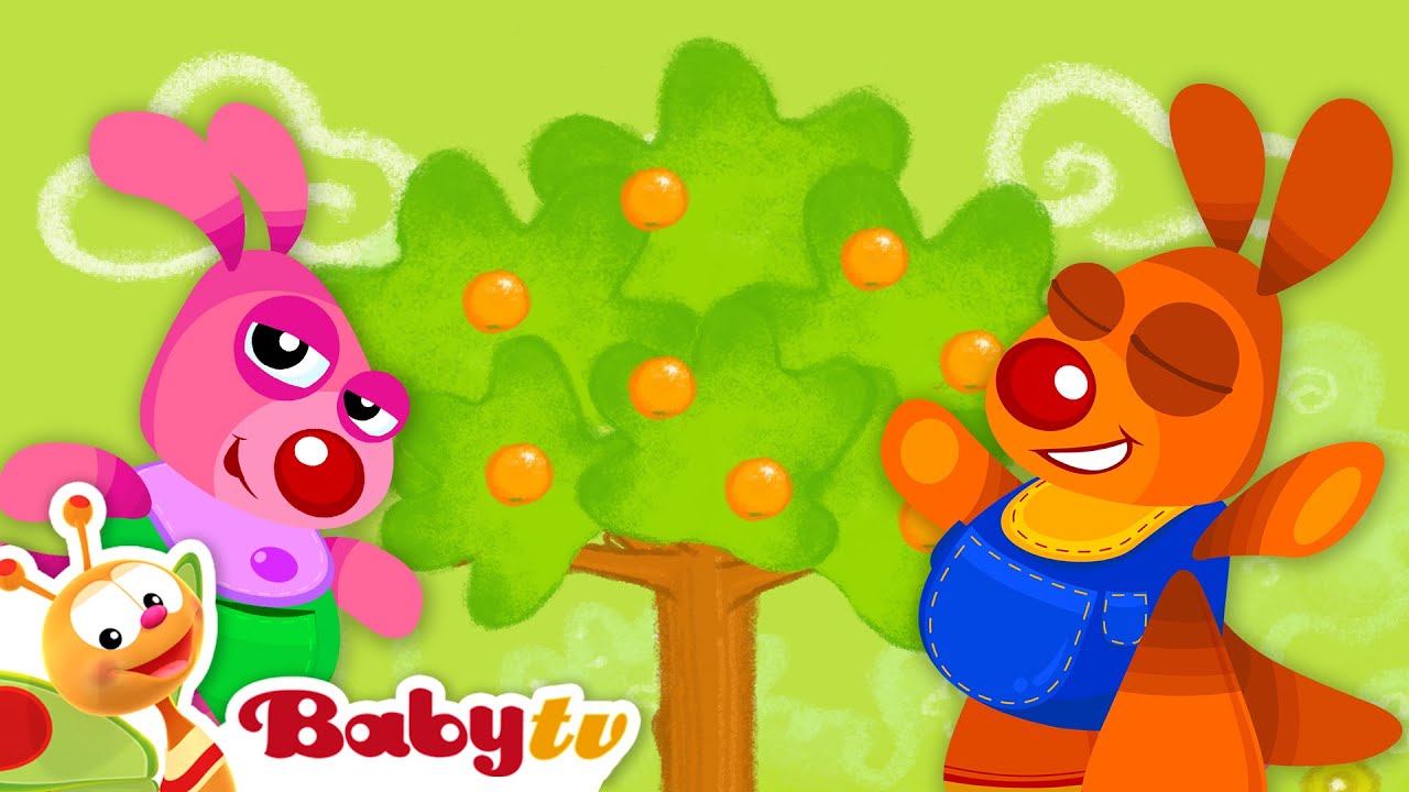 Laranjeira 🍊​🌳​ jogos de adivinhação com Kenny e Goorie 🦘| desenhos animados para crianças @BabyTVBR