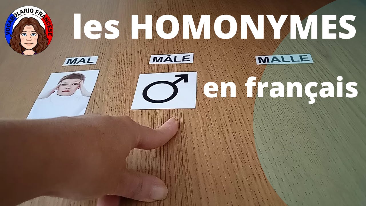 Apprendre les HOMONYMES en français : MAL / MÂLE / MALLE - FR/IT/EN
