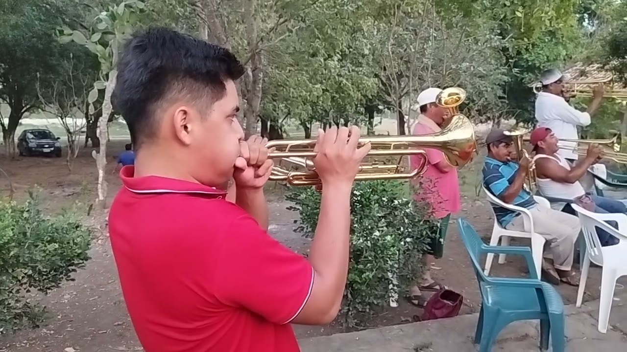 BANDA DE VIENTO FLOR DE CAÑA DE COATZONCO HUAUTLA HGO.