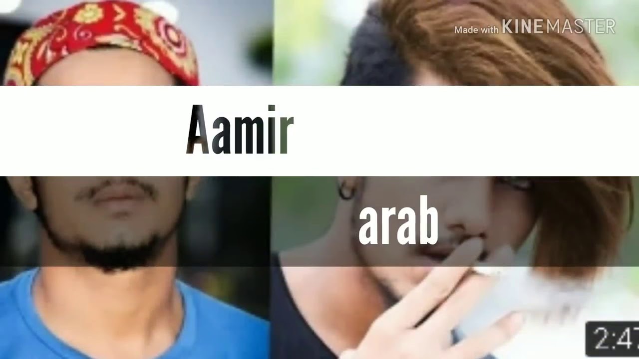 Aamir arab funny videos and musically star model tiktok ep_2