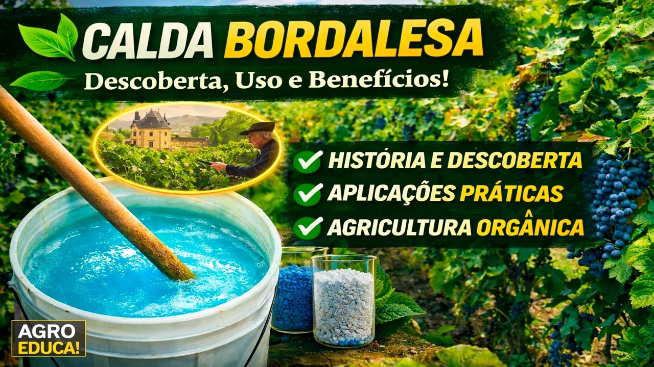 🌿 Calda Bordalesa: 🔬 Descoberta, Uso e Benefícios! 🌾