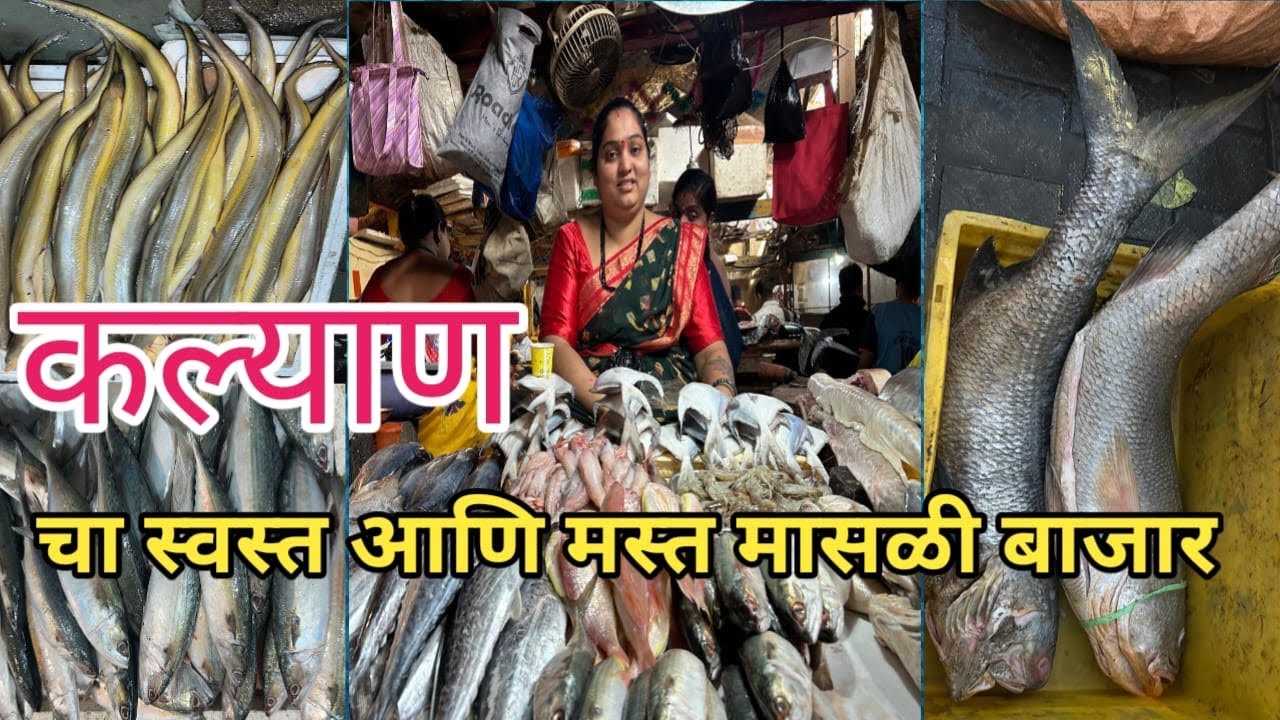मुंबई का सस्ता होलसेल मच्छी मार्केट | Kalyan Fish Market | Chhaya Talkies Fish Market | Seafood Mart