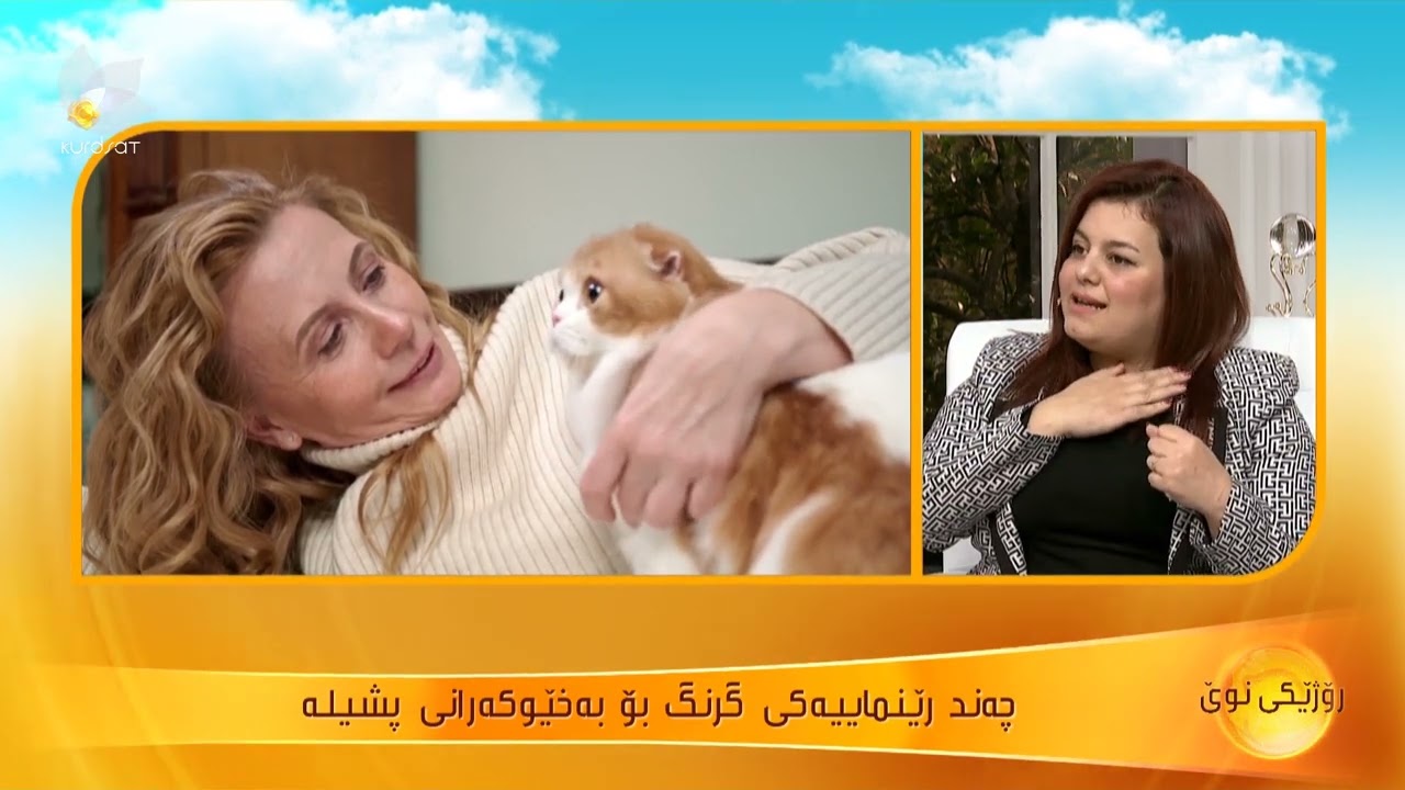چۆنێتی بەخێوكردن و راگرتنی پشیلە لەماڵدا