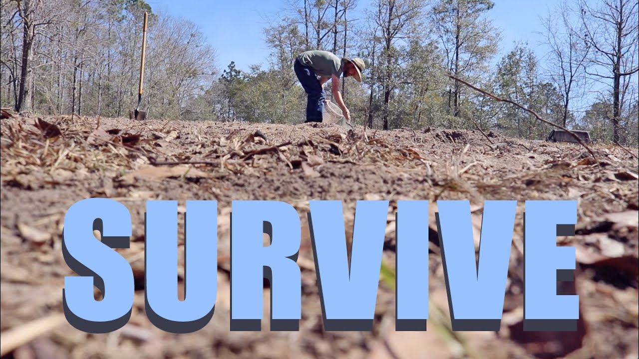 How to Plant Potatoes - The Best Survival Crop!