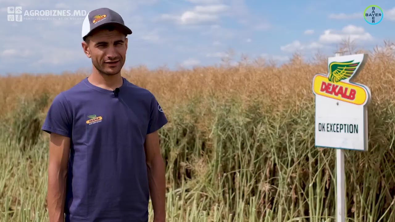 DK Exception si DK Imaret - alegerea lui Dumitru Guzun pentru semănatul rapiței