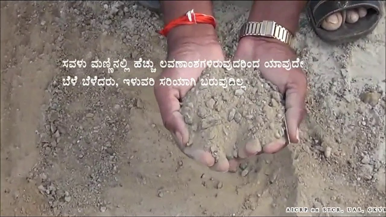 Subsurface Drainage - A Success Story