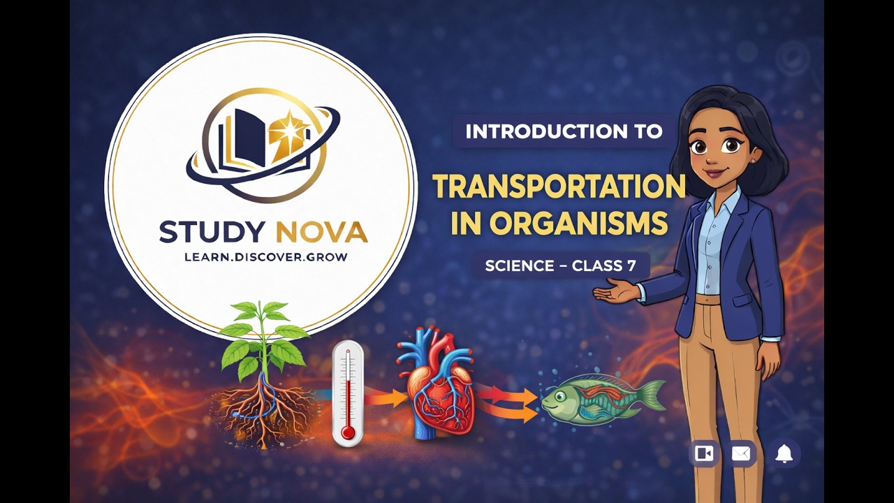 Transportation In Plants And Animals