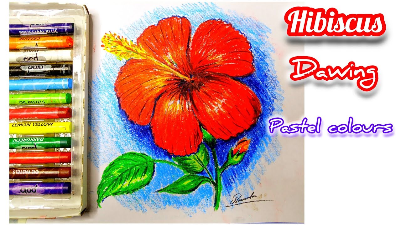 Drawing  A Hibiscus Flower is Easy 🌺