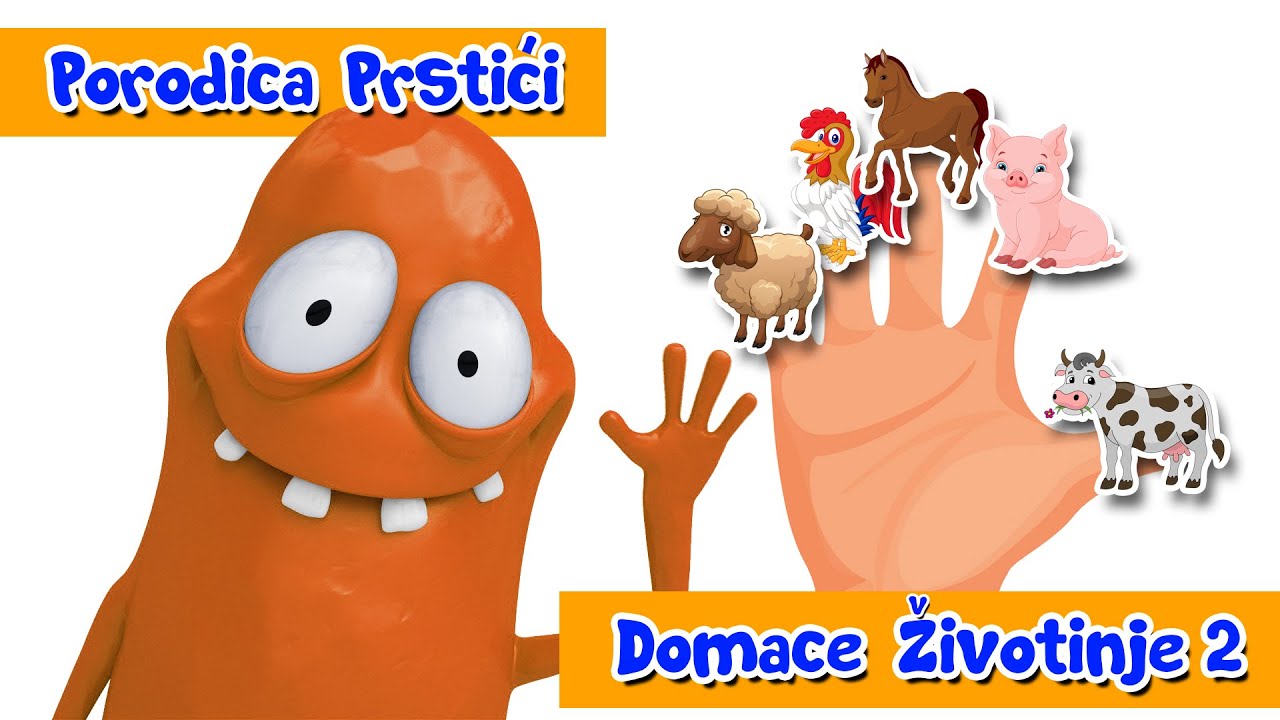 PORODICA PRSTICI - DOMACE ZIVOTINJE - SONG 2