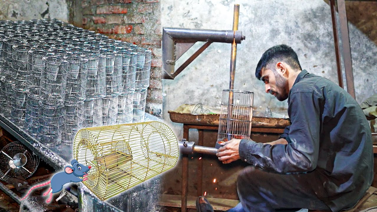 How to Make Metal Rat/Cage Trap in Factories